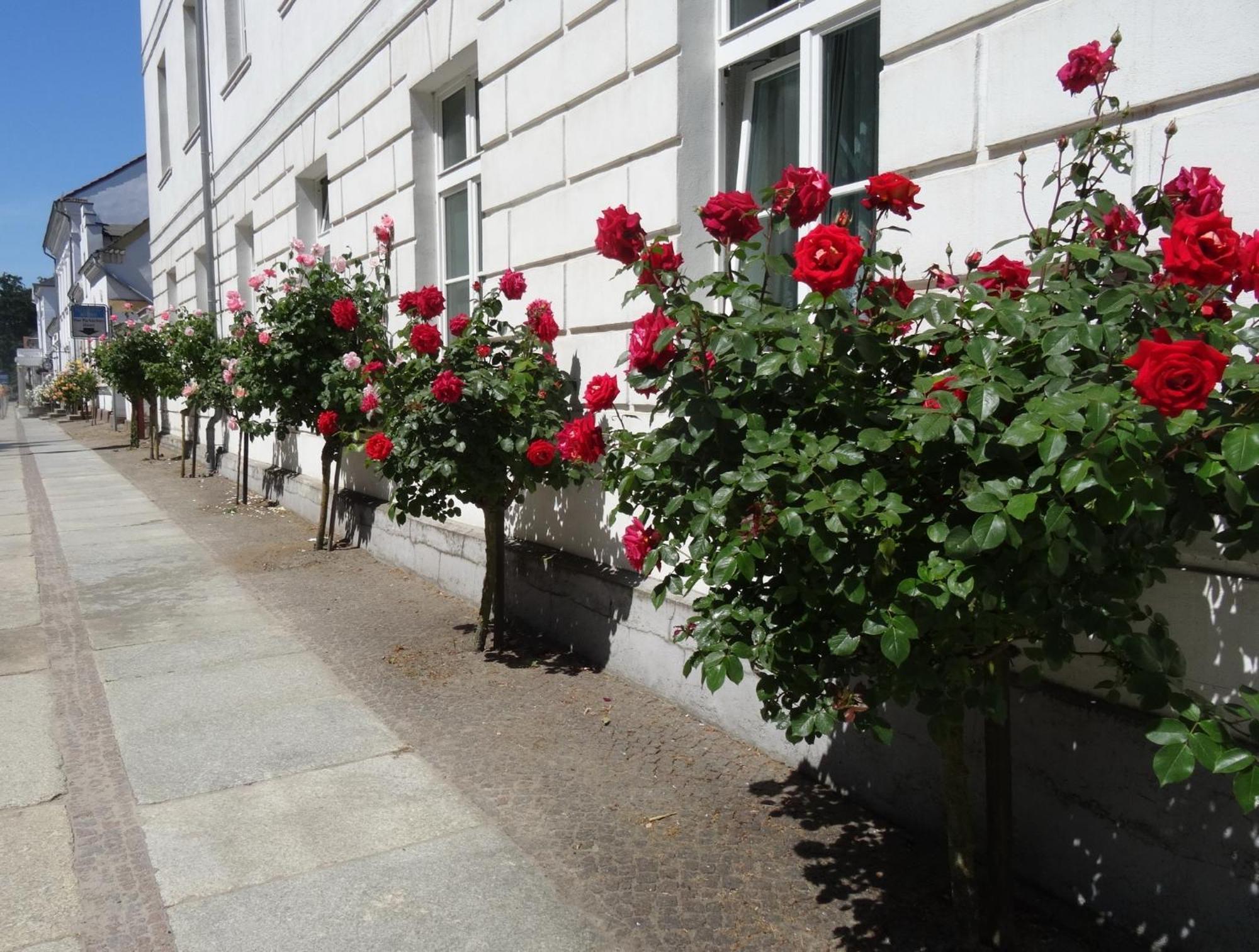 Appartement Meeresrauschen Baabe Exterior photo